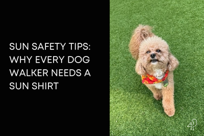 Sun Safety Tips: Why Every Dog Walker Needs a Sun Shirt