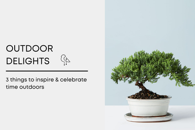 Outdoor Delights: 3  things to inspire & celebrate time outdoors